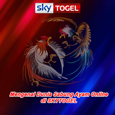 Mengenal Dunia Sabung Ayam Online di SKYTOGEL